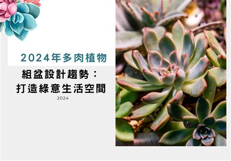 多肉人|2024年多肉植物完全指南：從挑選技巧到養護秘訣，一次掌握！